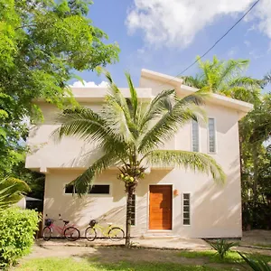 https://mini-pini-birdwatching-and-cenote-loft4-you-only.quintano-roohotels.com